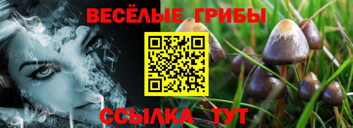 Галлюциногенные грибы прущие грибы  Вход с VPN  Гатчина 